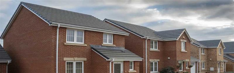 Comparison of the best roofing systems for UK homes from dry verge to plastic tiles